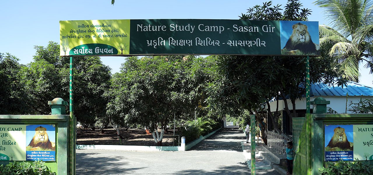 nature study camp sasan gir